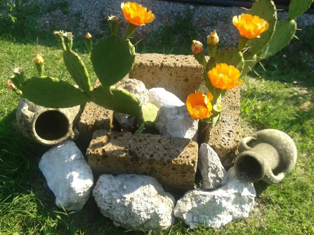Agriturismo La Trappola Villa Novafeltria 0*,  Italia