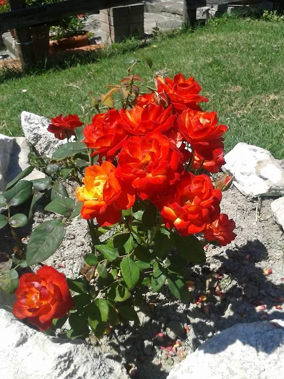 Agroturismo Agriturismo La Trappola Villa Novafeltria Italia