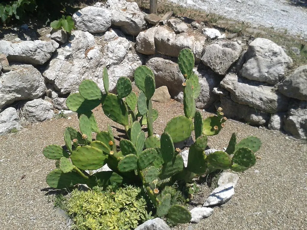 Agriturismo La Trappola Villa Novafeltria Agroturismo