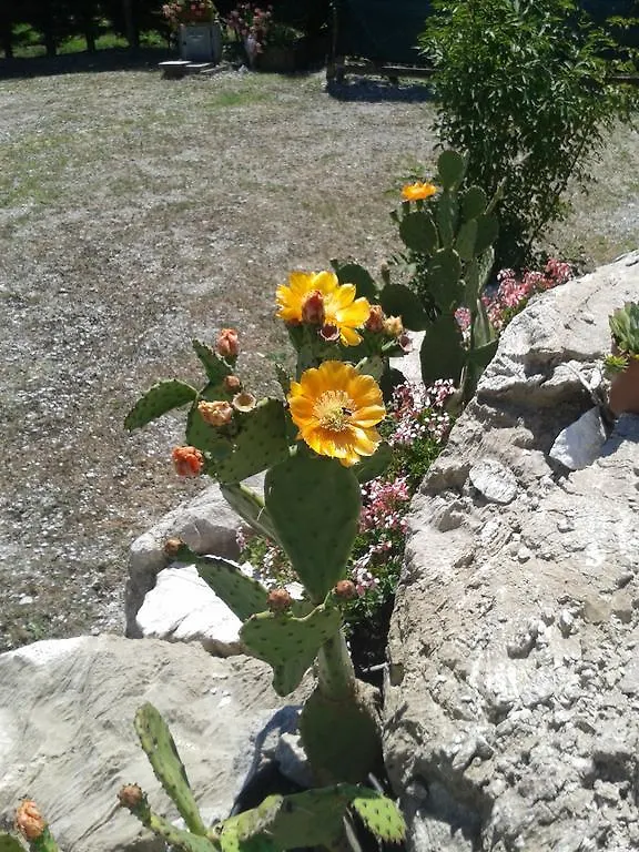 Agriturismo La Trappola Villa Novafeltria